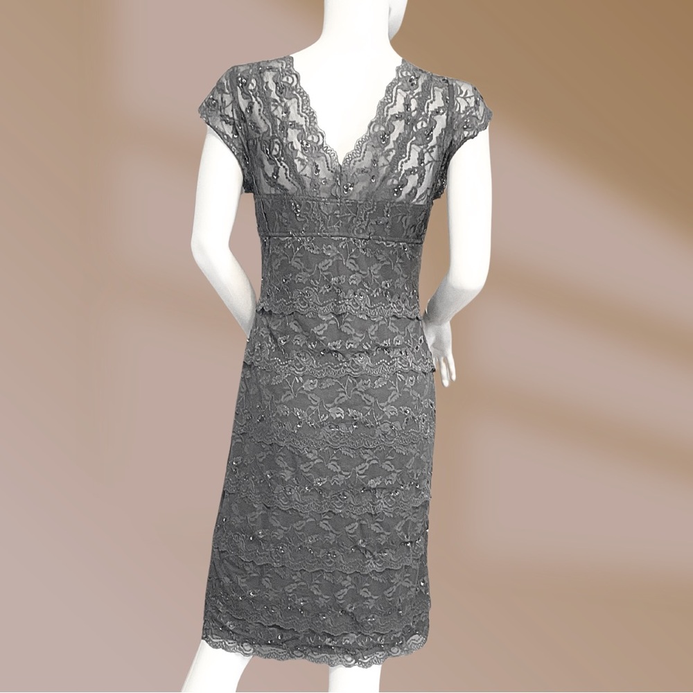 Blu Sage Women's Dress Gray Lace Bead & Sequin Embellished Formal Party Sz 8 - Picture 4 of 4